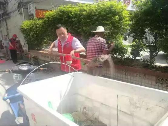 1574861778929486.png image.png