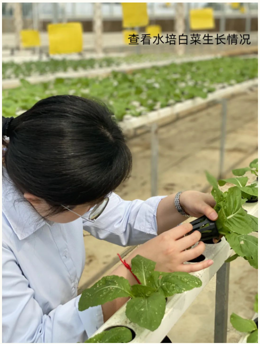 1692931781113956.png image.png