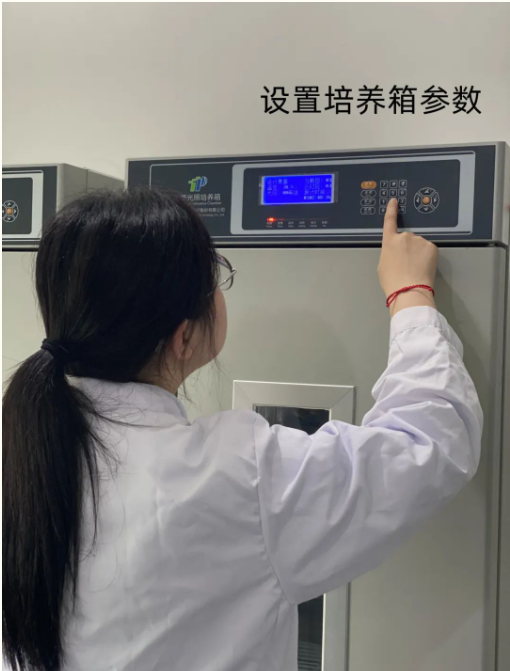 1692931949109507.png image.png