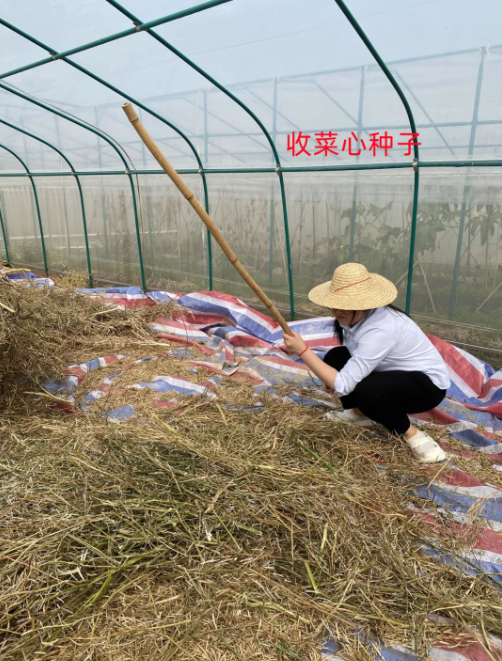 1692931963107540.png image.png