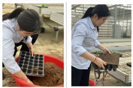 1692931992519178.png image.png