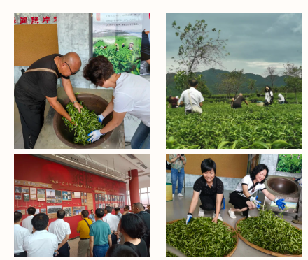 1694402549892134.png image.png