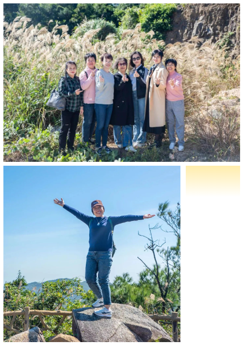 1701224375139001.png 1701223603785.png