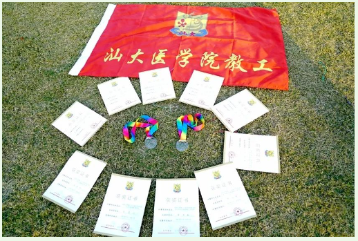 1701226768737478.png 1701226350435.png