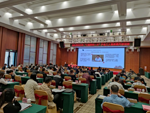 1702346398711960.png 1702345994571.png