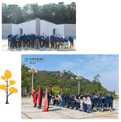 1707356125108397.png 1707355753013.png