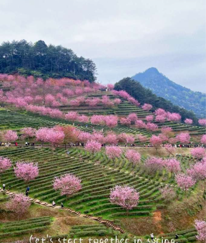 1709797095802456.png blob.png