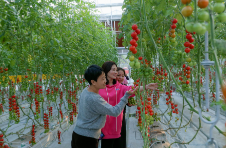 1710470843847941.png 1710470358588.png