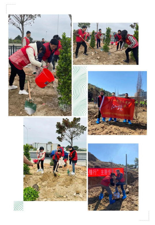 1710723270110182.png 1710723265849.png