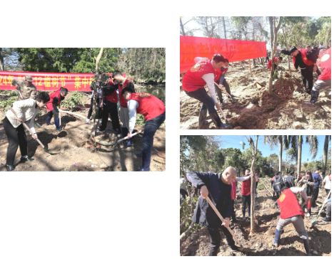 1710898469130072.png 1710897973271.png