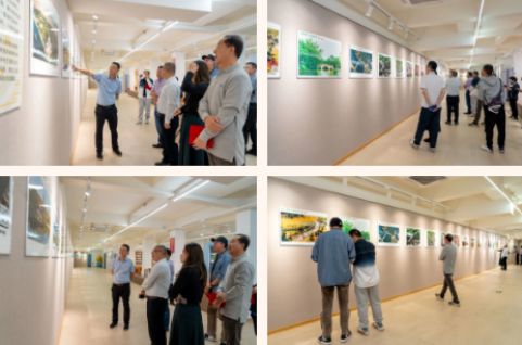 1712452007136660.png 1712451518601.png