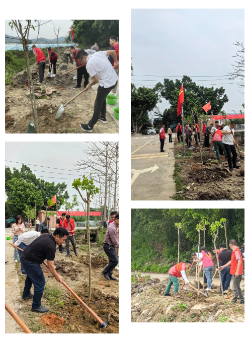 1713403410880042.png 1713402923974.png