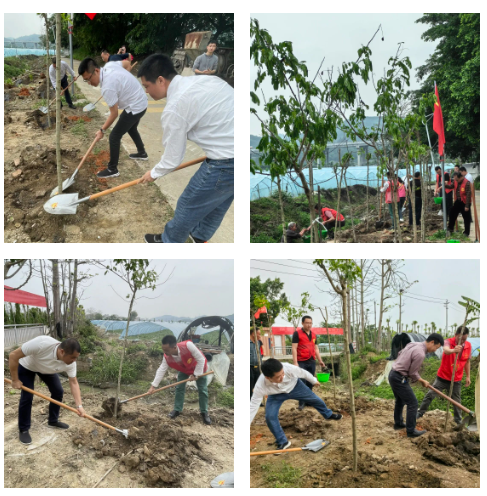 1713403431340467.png 1713402945698.png