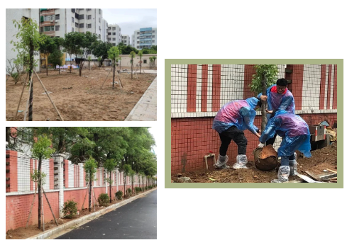 1716773310819066.png 1716772837130.png