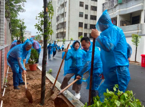 1716773340411383.png 1716772864910.png