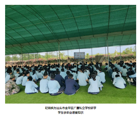 1720401065444346.png 1720400571480.png