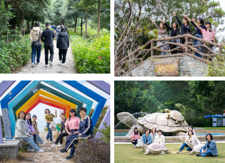 1732670966328762.png 1732670449543.png