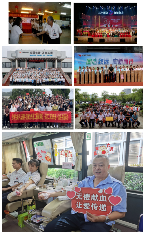 1735782854107962.png 1735782350323.png