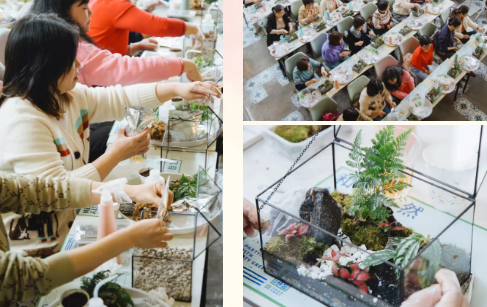 1741744403104442.png 1741743888994.png