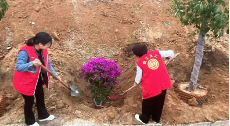 1744614258885637.png 1744613785432.png