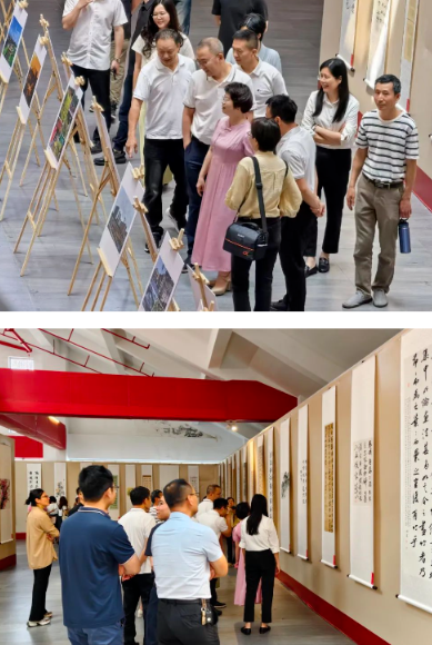 1746493390107691.png 1746492925772.png