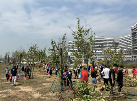 1746580588113612.png 1746580122481.png