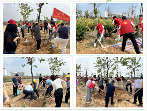 1746580790128084.png 1746580324848.png