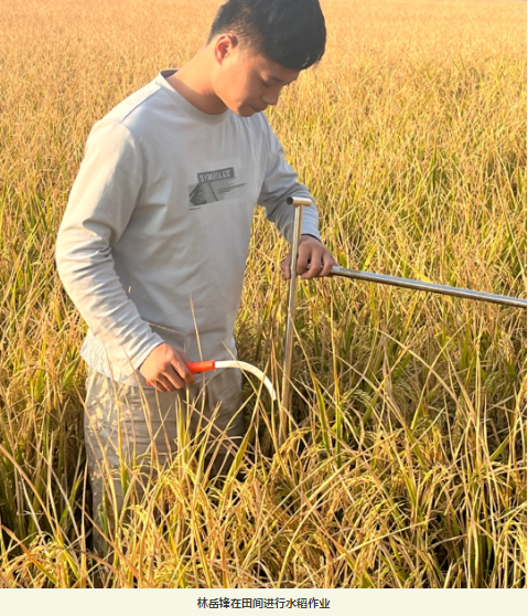 1748224727767256.png 1748224267858.png