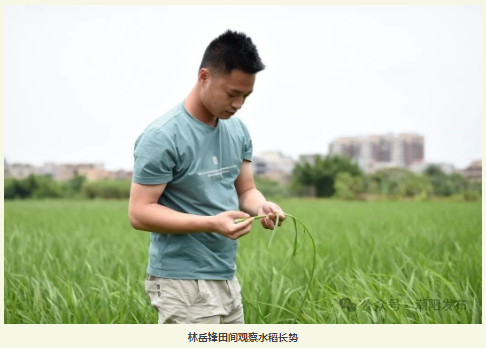 1748224840587254.png 1748224382783.png