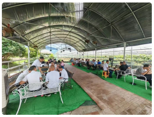 1752026149123664.png 1752025705075.png