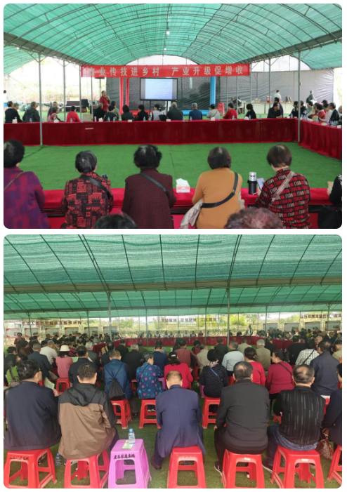 1765933739995841.png 9ba5814d-e286-4bef-9717-815aabd7a997.png